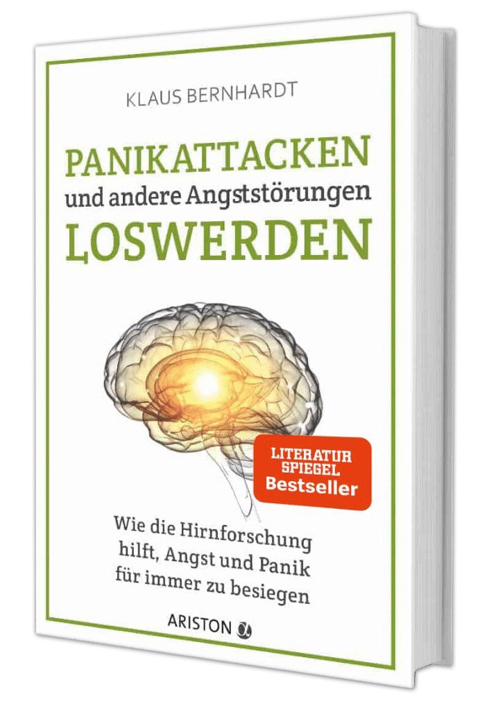 Buch „Panikattacken und andere Angststörungen loswerden“